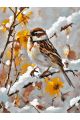 Картина по номерам без подрамника «Воробей» 130x100 см