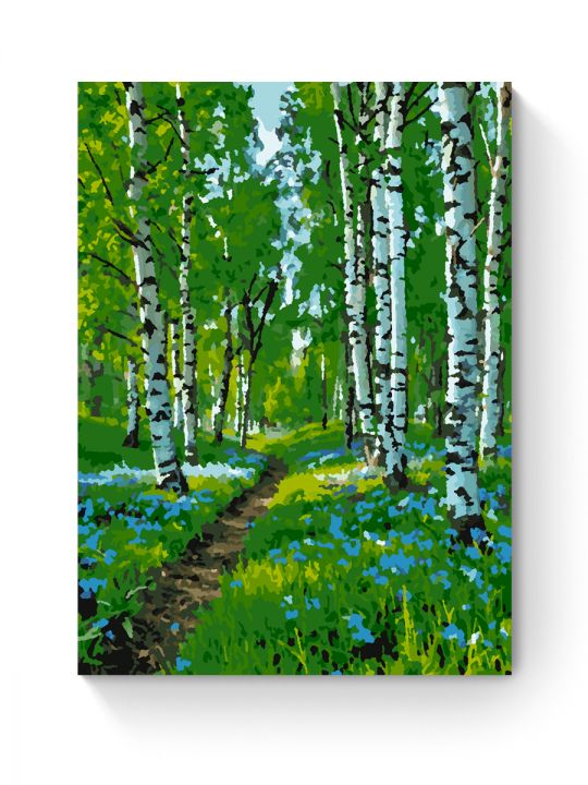 Картина по номерам на подрамнике «Берёзовый лес» 35x25 см