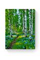 Картина по номерам на подрамнике «Берёзовый лес» 25x20 см