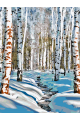 Картина по номерам на подрамнике «Зимний лес» 35x25 см