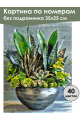 Картина по номерам без подрамника «Суккуленты» 35x25 см