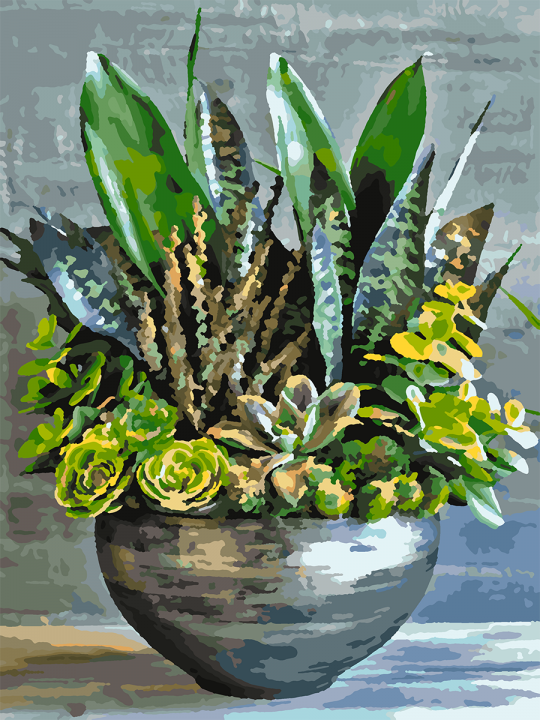 Картина по номерам без подрамника «Суккуленты» 35x25 см