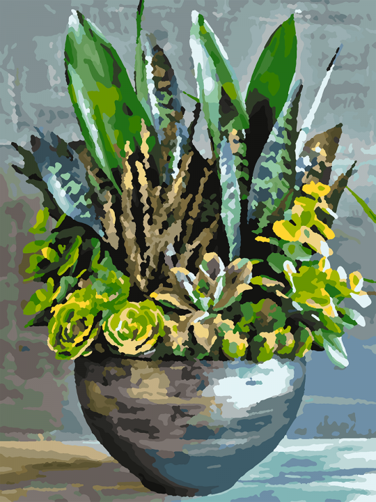 Картина по номерам без подрамника «Суккуленты» 25x20 см