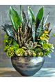 Картина по номерам без подрамника «Суккуленты» 25x20 см