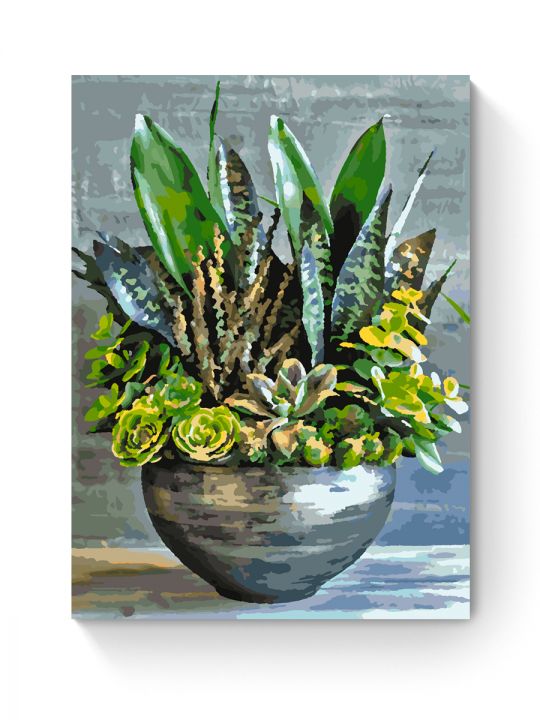 Картина по номерам на подрамнике «Суккуленты» 35x25 см