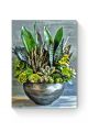 Картина по номерам на подрамнике «Суккуленты» 35x25 см