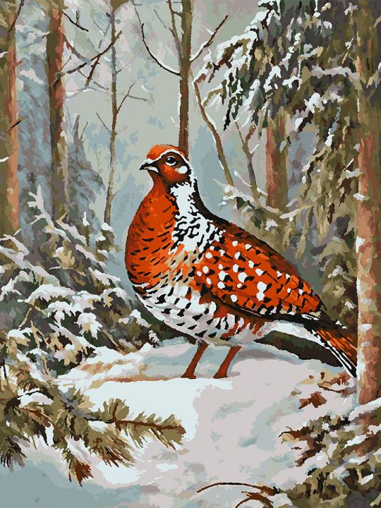 Картина по номерам без подрамника «Фазан в лесу» 80x60 см