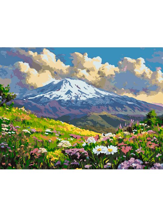 Картина по номерам без подрамника «Цветы в горах» 80x60 см