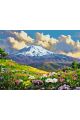 Картина по номерам без подрамника «Цветы в горах» 80x60 см