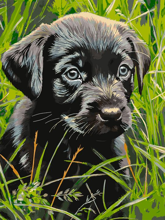 Картина по номерам без подрамника «Черный щенок» 130x100 см