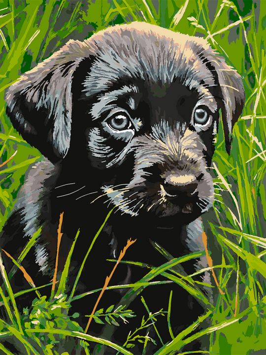 Картина по номерам без подрамника «Черный щенок» 80x60 см