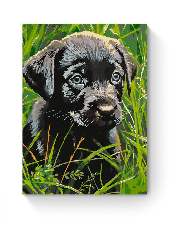 Картина по номерам на подрамнике «Черный щенок» 90x70 см
