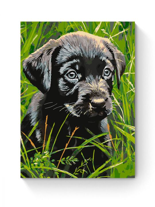 Картина по номерам на подрамнике «Черный щенок» 80x60 см