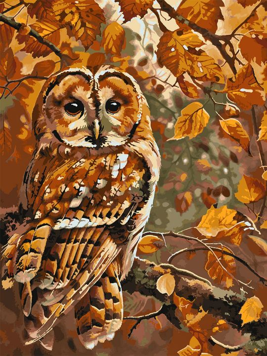 Картина по номерам без подрамника «Совушка» 130x100 см