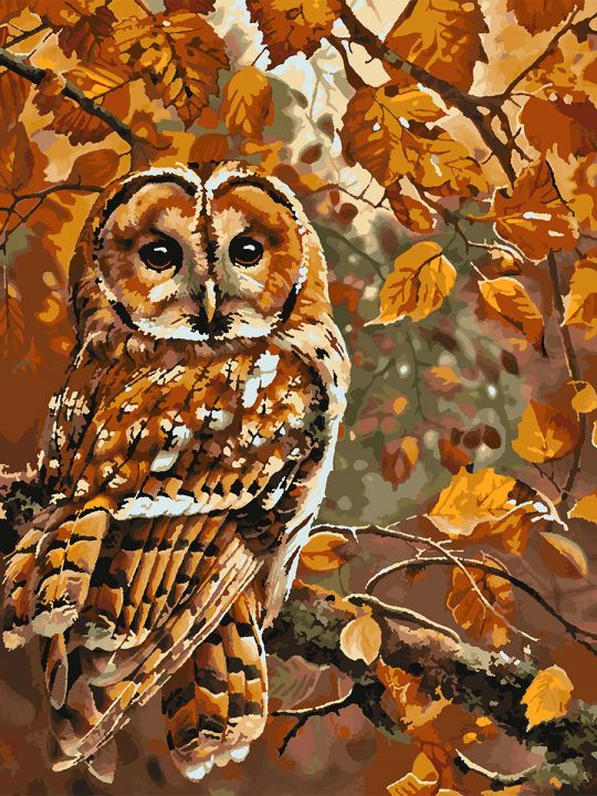 Картина по номерам без подрамника «Совушка» 80x60 см