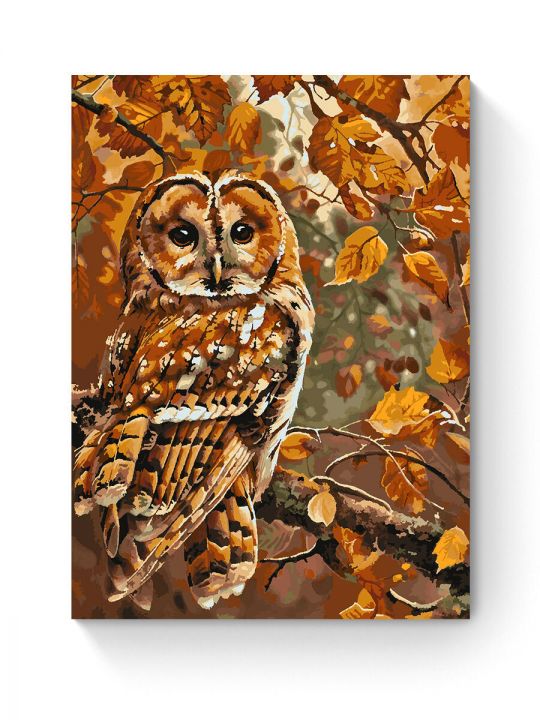 Картина по номерам на подрамнике «Совушка» 90x70 см