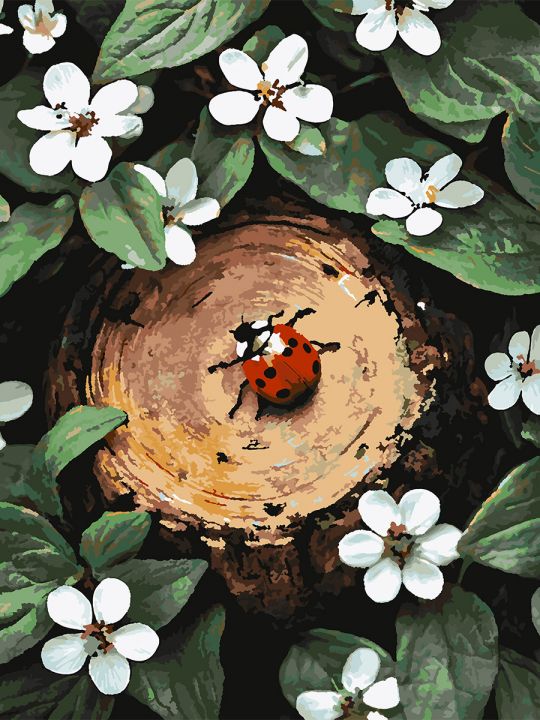 Картина по номерам без подрамника «Божья коровка» 80x60 см