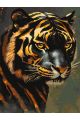 Картина по номерам на подрамнике «Золотой тигр» 90x70 см