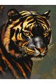 Картина по номерам без подрамника «Золотой тигр» 80x60 см