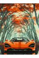 Картина по номерам без подрамника «Суперкар» 80x60 см