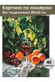 Картина по номерам без подрамника «Вкус лета» 80x60 см