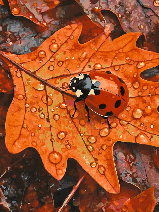 Картина по номерам без подрамника «Божья коровка» 130x100 см