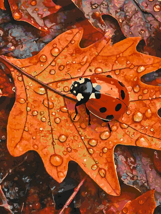 Картина по номерам без подрамника «Божья коровка» 80x60 см