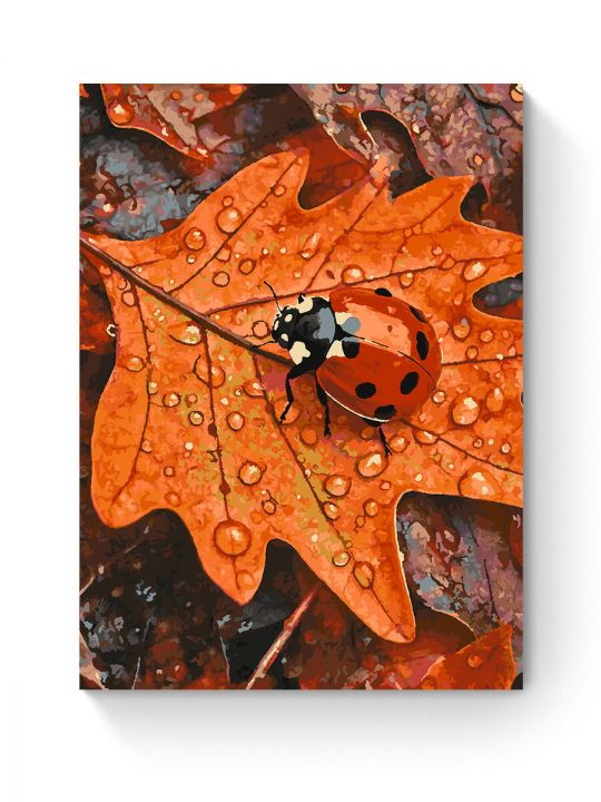 Картина по номерам на подрамнике «Божья коровка» 90x70 см
