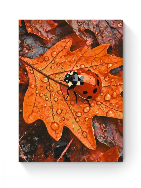 Картина по номерам на подрамнике «Божья коровка» 80x60 см