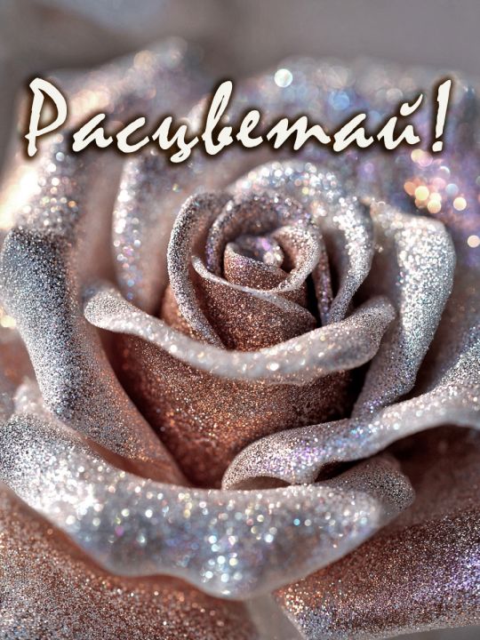 Алмазная мозаика без подрамника «Расцветай» 90x70 см