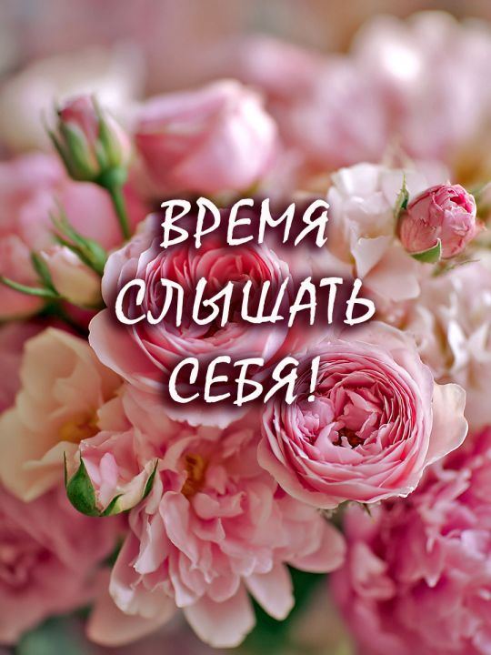 Алмазная мозаика без подрамника «Цитата дня» 130x100 см