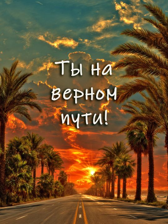 Алмазная мозаика без подрамника «Цитата дня» 90x70 см