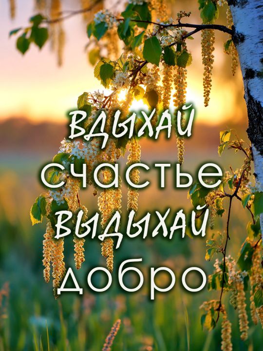 Алмазная мозаика без подрамника «Цитата дня» 50x40 см