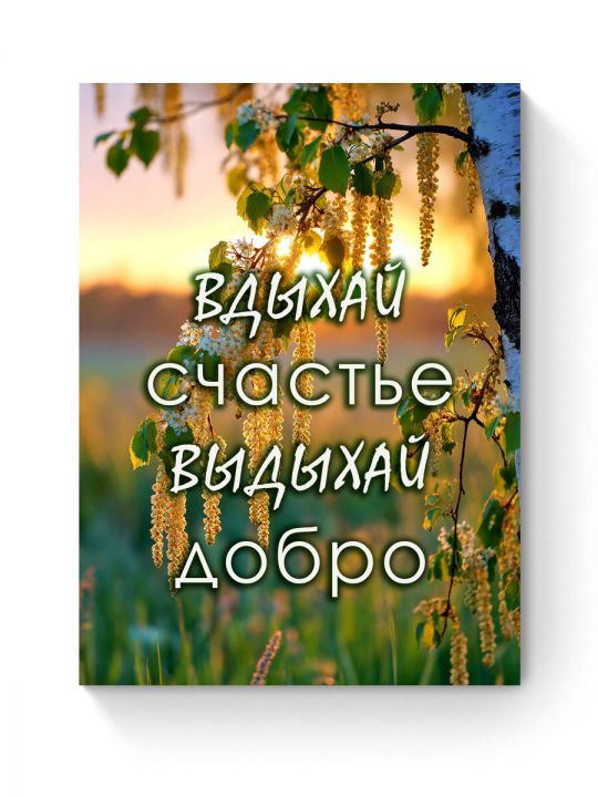Алмазная мозаика на подрамнике «Цитата дня» 50x40 см