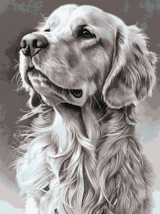 Картина по номерам без подрамника «Лабрадор» 130x100 см