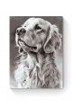 Картина по номерам на подрамнике «Лабрадор» 90x70 см