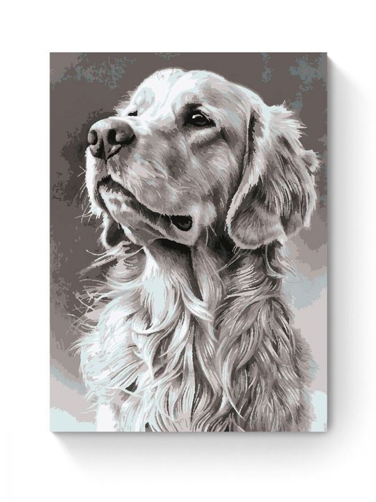 Картина по номерам на подрамнике «Лабрадор» 80x60 см