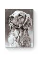 Картина по номерам на подрамнике «Лабрадор» 80x60 см