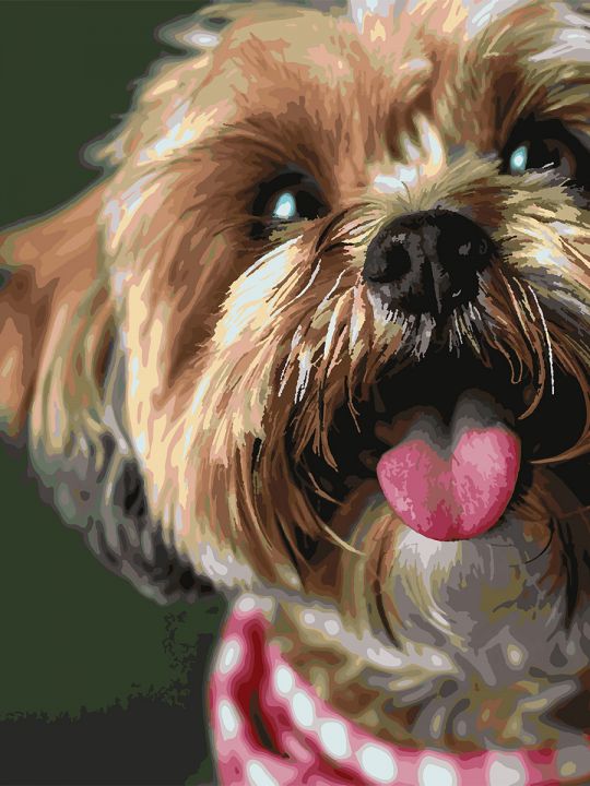 Картина по номерам без подрамника «Милый йорк» 90x70 см