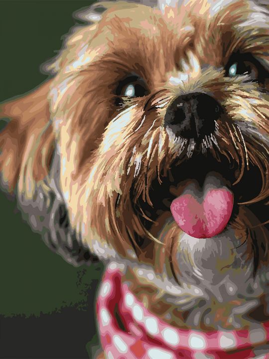 Картина по номерам без подрамника «Милый йорк» 80x60 см