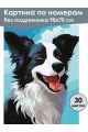Картина по номерам без подрамника «Бордер-колли» 90x70 см