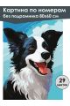 Картина по номерам без подрамника «Бордер-колли» 80x60 см