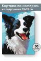 Картина по номерам на подрамнике «Бордер-колли» 90x70 см