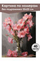 Картина по номерам без подрамника «Гладиолусы» 35x25 см