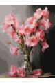 Картина по номерам на подрамнике «Гладиолусы» 25x20 см