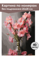 Картина по номерам без подрамника «Гладиолусы» 25x20 см