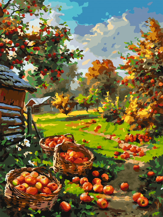 Картина по номерам без подрамника «Урожай яблок» 35x25 см