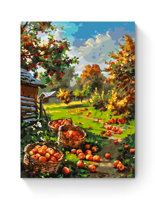 Картина по номерам на подрамнике «Урожай яблок» 35x25 см