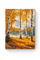 Картина по номерам на подрамнике «Золотая осень» 35x25 см