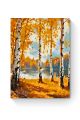 Картина по номерам на подрамнике «Золотая осень» 25x20 см